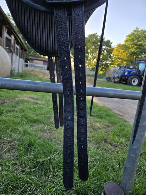 Sattel baumlos Marke Torsion, Torsion, Angela Kühn, Baumloser Sattel, Schwedt/ Oder, Abbildung 13