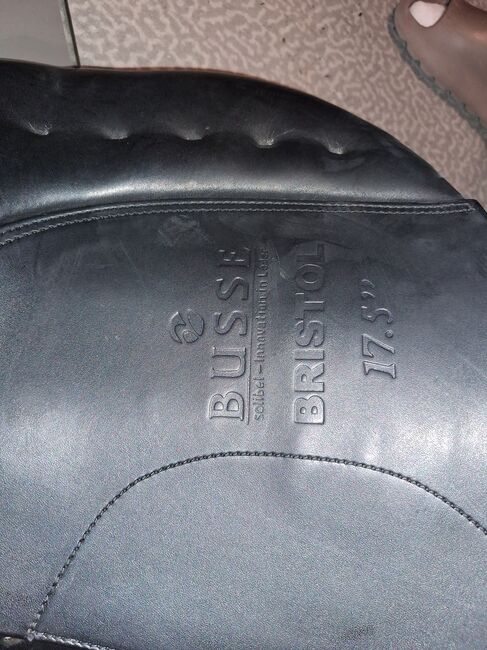 Sattel Busse Bristol 17,5, Busse Bristol, Beuck, Vielseitigkeitssattel (VS), Denkendorf