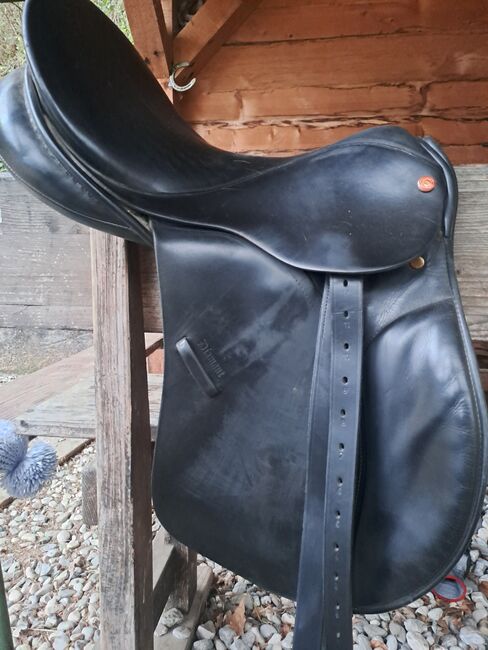 sattel Euroriding, Euroriding Diamant, nejka.m@gmail.com, All Purpose Saddle, Tolmin