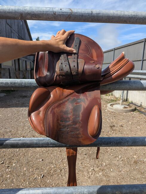 Sattel Prestige Model Sidney, Prestige Sidney, Franziska, Jumping Saddle, Roppentzwiller, Image 3