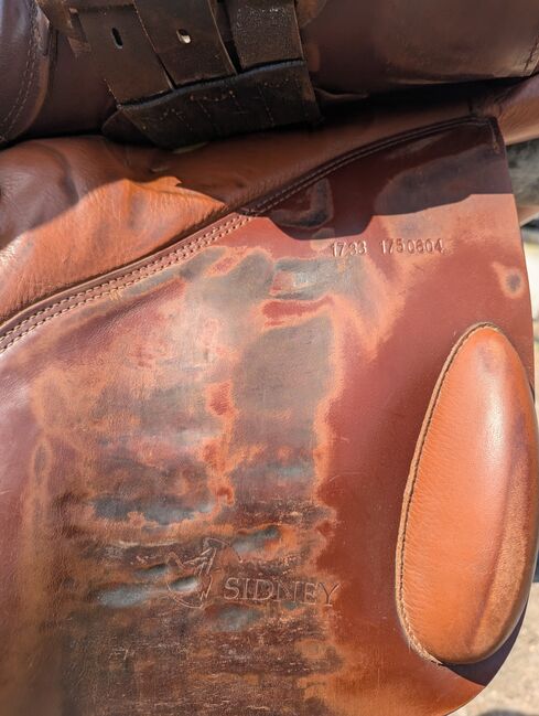 Sattel Prestige Model Sidney, Prestige Sidney, Franziska, Jumping Saddle, Roppentzwiller, Image 7
