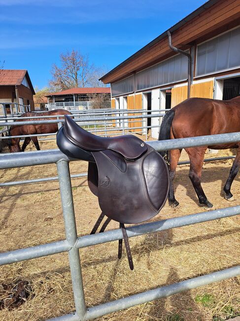 Sattel WOW Classic  VSS 17 Zoll, WOW Classique , Sandra Hofmann, Vielseitigkeitssattel (VS), Dittellbrunn, Abbildung 2