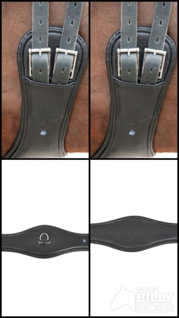 Sattelgurt Turin DR D, BUSSE  Sattelgurt , Tanja , Reitpad, Badbergen, Abbildung 7