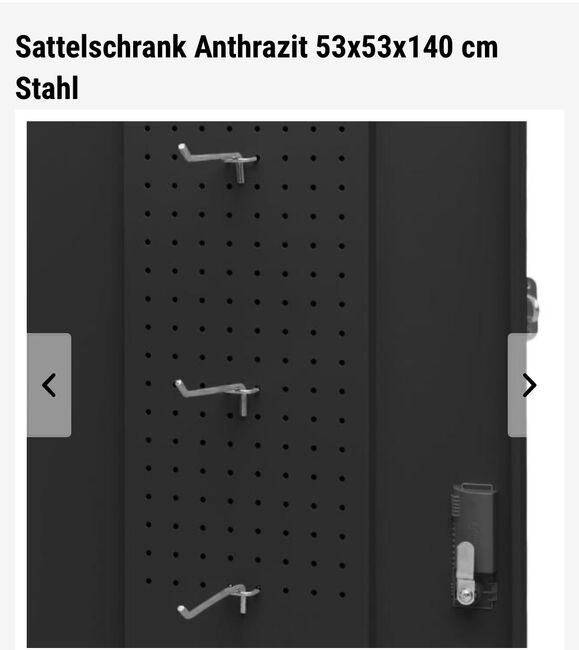 Sattelschrank, Preisvogel.ch Aus Schwarzem Stahl, Sarah Mathier, Für Pferde, Salgesch , Abbildung 5