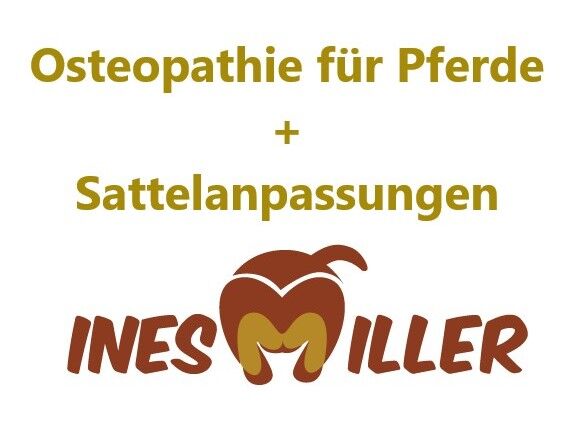 Sattler, Sattelanpassungen IM-Sattel, Kieffer + Velicea Sattel, Ines Miller (IM Sattel), Dressursattel, Graben, Abbildung 12
