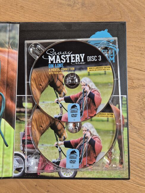 Savvy Mastery ON LINE - A Mental Connection - Silke Vallentin, Savvy Mastery, Céline, DVD & Blu-ray, Worb, Abbildung 5