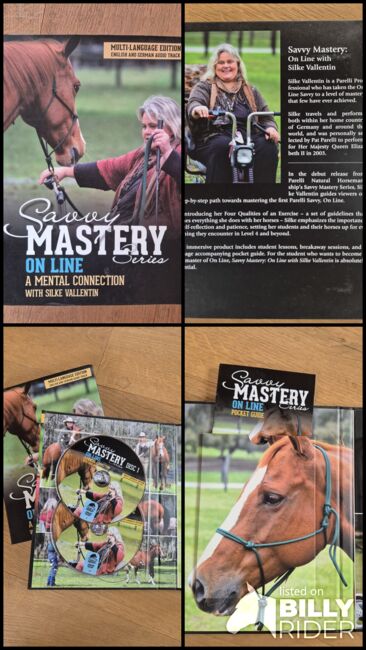 Savvy Mastery ON LINE - A Mental Connection - Silke Vallentin, Savvy Mastery, Céline, DVD & Blu-ray, Worb, Image 6