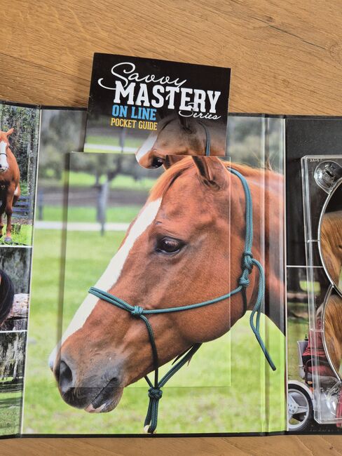 Savvy Mastery ON LINE - A Mental Connection - Silke Vallentin, Savvy Mastery, Céline, Dvd i media, Worb, Image 3
