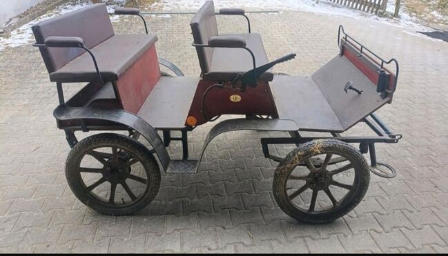 Sawa Kutsche zu verkaufen, Sawa, Aileen, Carriages, Riedlingen