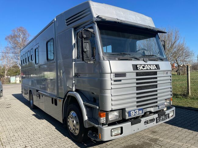 SCANIA Pferdetransporte, SCANIA mit  93M , Dominic Weber, Transport, Messen