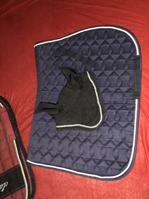 Schabracke Navy Blue, Melanie Beaury, Dressage Pads, Mölln