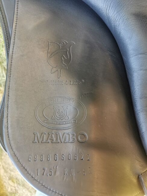 Schleese Dressursattel Mambo II, Schleese Mambo II, Steffi, Dressursattel, Diedorf, Abbildung 4