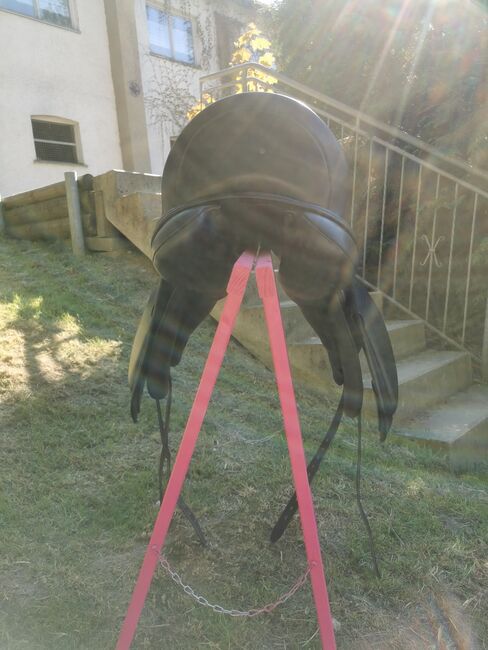 Schleese Dressursattel Mambo II, Schleese Mambo II, Steffi, Dressage Saddle, Diedorf, Image 3