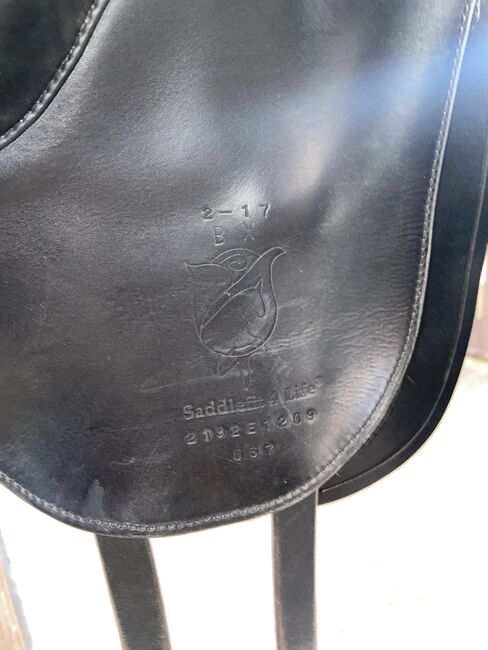 Schleese Dressursattel Equine Rose, Schleese Equine Rose , Hanna Höper , Dressage Saddle, Reinbek , Image 6