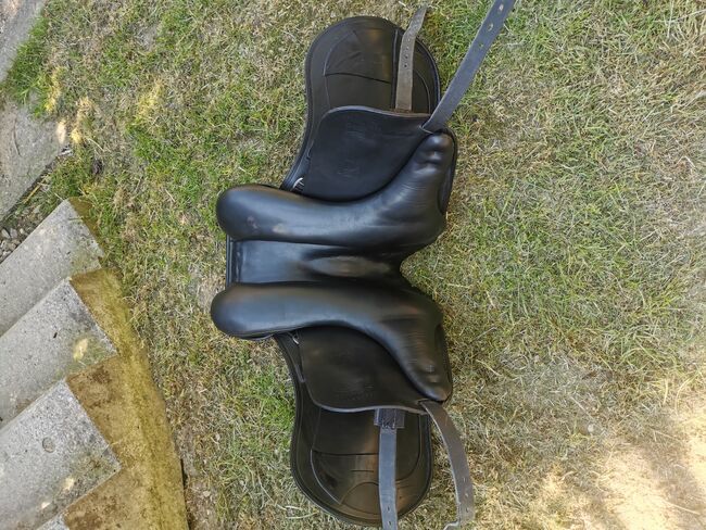 Schleese Dressursattel Mambo II, Schleese Mambo II, Steffi, Dressage Saddle, Diedorf, Image 5