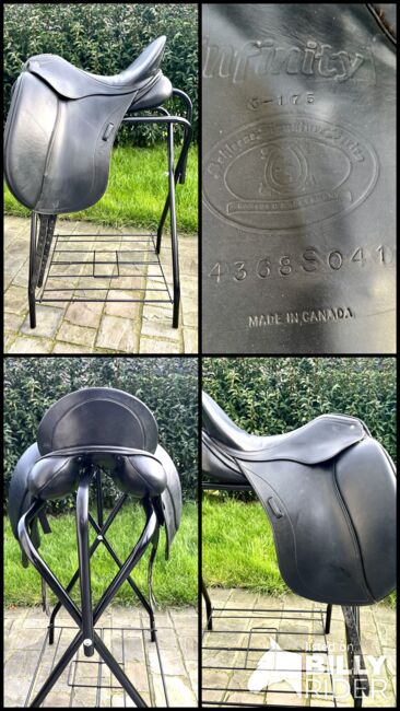 Schleese Infinity I 17,5, Schleese Infinity , Merel DC, Dressage Saddle, Gent, Image 5