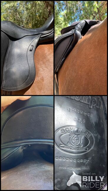 Schleese Truimph 17.5” with 16.5” panals, Schleese Truimph, Janicke du Plessis, Dressage Saddle, Oudtshoorn, Image 8