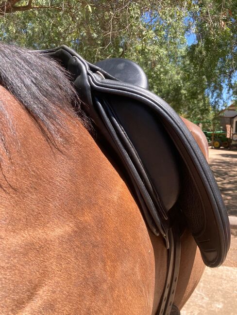 Schleese Truimph 17.5” with 16.5” panals, Schleese Truimph, Janicke du Plessis, Dressage Saddle, Oudtshoorn, Image 3