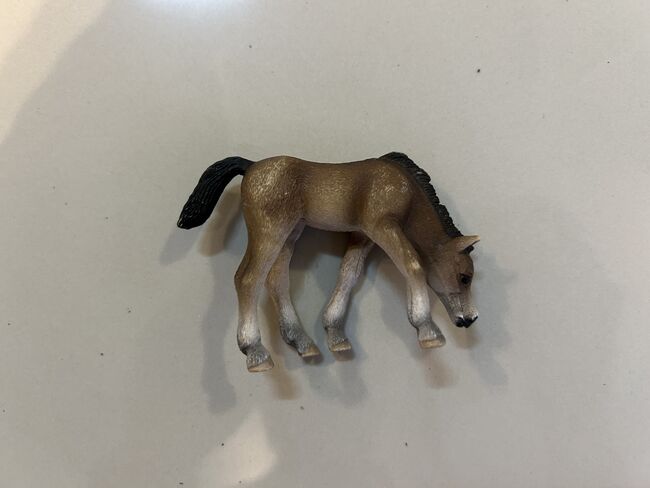 Schleich horses, Schleich, JonBenet Bauer, Pozostałe, Heidelberg, Image 7