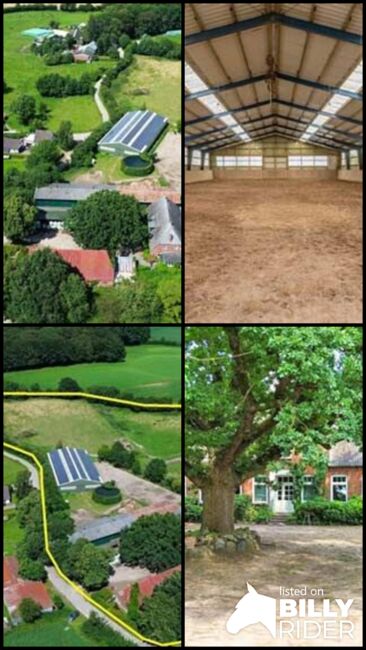 Schleswig Holstein, 24401 Böel - Reiterhof mit Reithalle und Reitplatz zu verkaufen, Sabine Wesseln, Maras World of Horses (Maras World of Horses, Maras World Solutions S.L.), Pferdeimmobilien, Böel, Abbildung 8