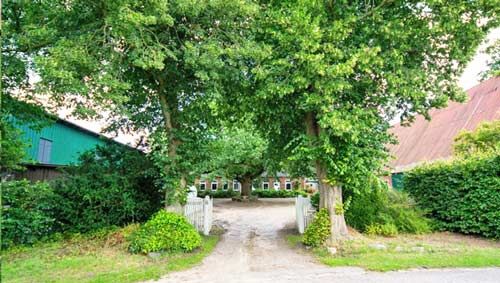 Schleswig Holstein, 24401 Böel - Reiterhof mit Reithalle und Reitplatz zu verkaufen, Sabine Wesseln, Maras World of Horses (Maras World of Horses, Maras World Solutions S.L.), Pferdeimmobilien, Böel, Abbildung 4