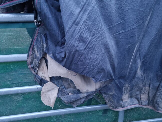 ⭐️SCHNÄPPCHEN⭐️ Weidedecke/ Regendecke/ Pferdedecke/ Horseware, Horseware Rambo Optimo, Kathi, Horse Blankets, Sheets & Coolers, Wachtberg, Image 2