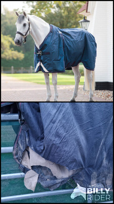 ⭐️SCHNÄPPCHEN⭐️ Weidedecke/ Regendecke/ Pferdedecke/ Horseware, Horseware Rambo Optimo, Kathi, Horse Blankets, Sheets & Coolers, Wachtberg, Image 3