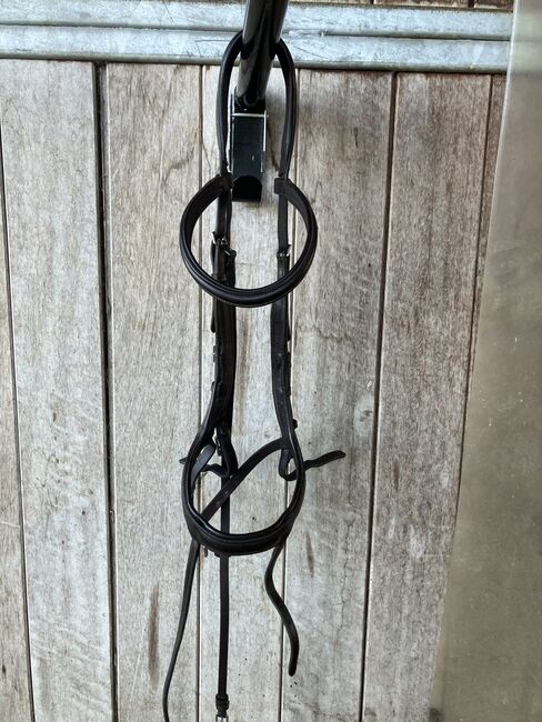 Schockemöhle Equitus Alpha Zaum, Schockemöhle Equitus Alpha, Sonja Frei, Nosebands, Kriessern
