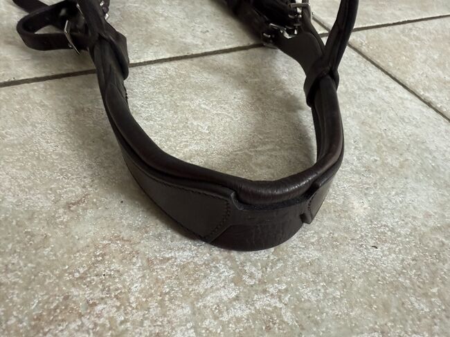 Schockemöhle Trense, Schockemöhle  Anatomische Trense Seattle , Lara Weber , Bridles & Headstalls, Andernach, Image 2