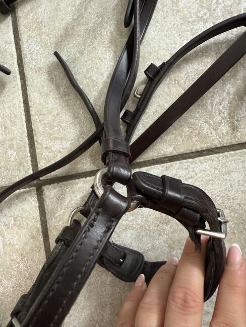 Schockemöhle Trense, Schockemöhle  Anatomische Trense Seattle , Lara Weber , Bridles & Headstalls, Andernach, Image 6