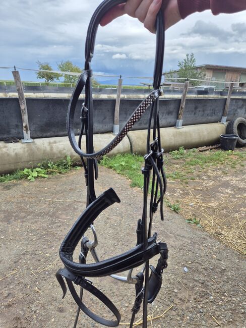 Schockemöhle Trense, Schockemöhle, Vanessa , Bridles & Headstalls, Filderstadt, Image 3