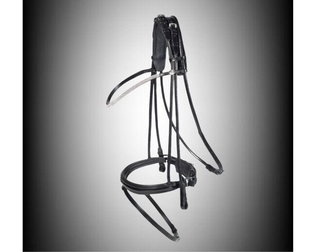 Schockemöhle Trense Den Haag Rundgenäht Black/Silver NEU!!-Wegen Aufgabe des Rei......, Schockemöhle Schockemöhle Trense Den Haag Rundgenäht Black/Silver , anzeigenforum , Bridles & Headstalls, Witten 