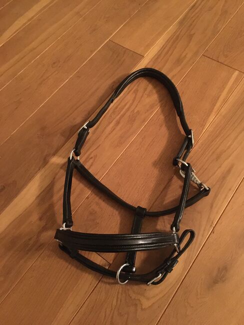 SCHOCKEMÖHLE SPORTS Halfter Ulm, Lederhalfter, schwarz/silber, Schockemöhle Sports , Privat, Halters, Dinklage 