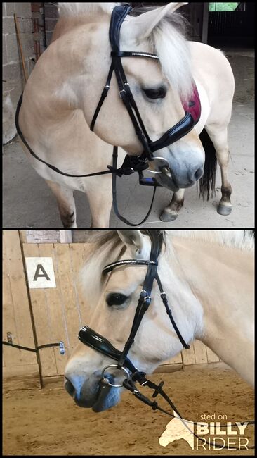 Schockemöhle Sports Trense Anatomic Line, Schockemöhle  Selext & Mix, Stephanie Wucherpfennig , Bridles & Headstalls, Friedland, Image 3