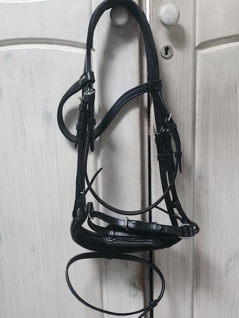 Schockemöhle Sports Trense Seaford schwarz VB, Schockemöhle  Sports Trense Seaford , Diana, Bridles & Headstalls, Castrop-Rauxel