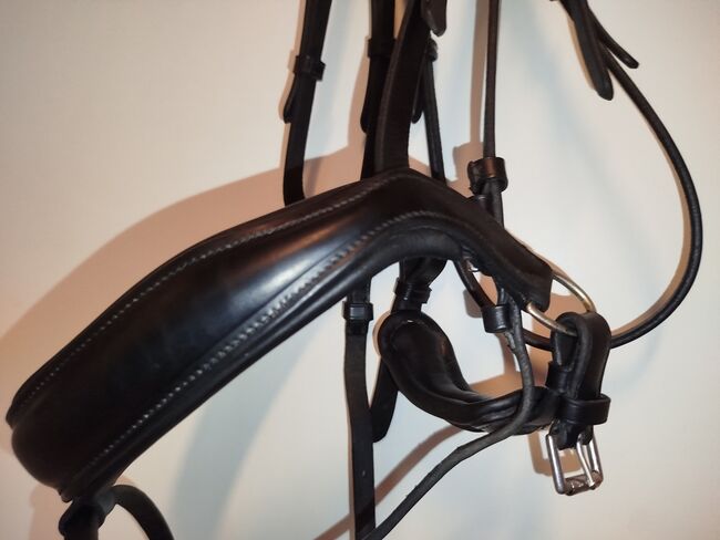 Schockemöhle Sports Trense Stanford - WB - schwarz, Schockemöhle Sports  Stanford , Nicola Walter , Bridles & Headstalls, Hamm, Image 2