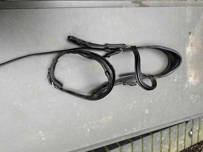 Schockemohle bridle, Schockelmohle , Justine Inchbald , Bridles & Headstalls, Milton keynes, Image 2