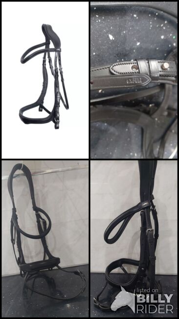 Schockemohle Equitus Delta Bridle BLACK XFULL, Schockemöhle , Carrie Holcombe-Lloyd, Bridles & Headstalls, LEOMINSTER, Image 9