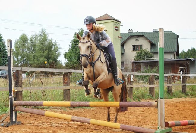 schönes pony, dleskovak, Horses For Sale, Luh nad Svatavou, Image 4