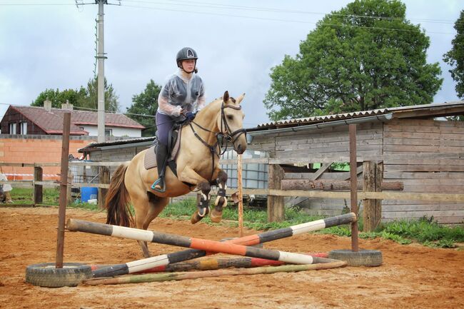 schönes pony, dleskovak, Horses For Sale, Luh nad Svatavou, Image 2