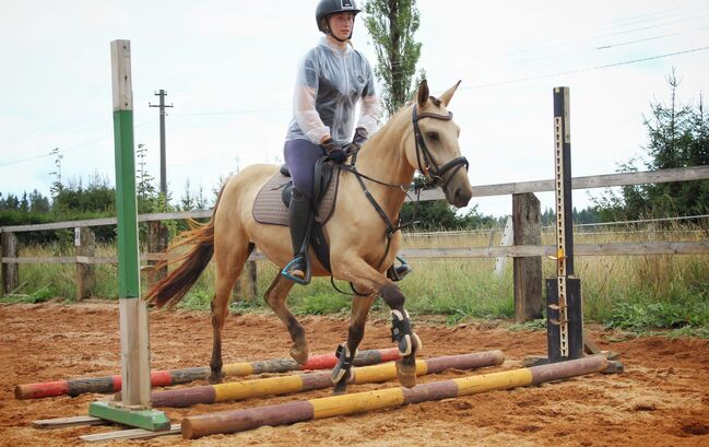 schönes pony, dleskovak, Horses For Sale, Luh nad Svatavou, Image 6