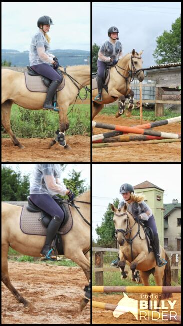 schönes pony, dleskovak, Horses For Sale, Luh nad Svatavou, Image 10