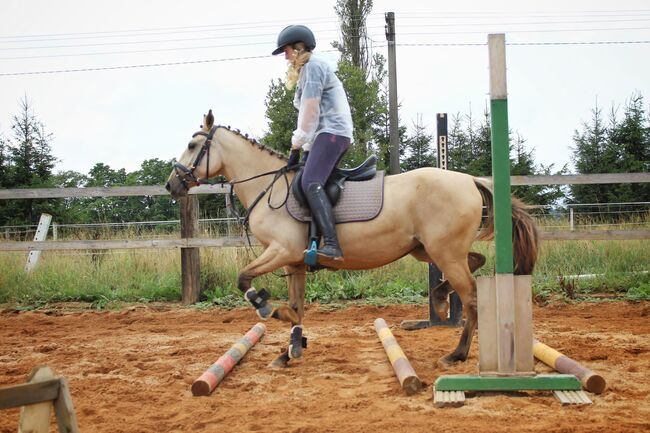 schönes pony, dleskovak, Konie na sprzedaż, Luh nad Svatavou, Image 9