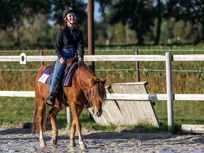 Schulpony sucht Aufgabe, Katharina Lehmann (Pferdevermittlung Leus), Pferd kaufen, Geeste-Dahlum, Abbildung 4