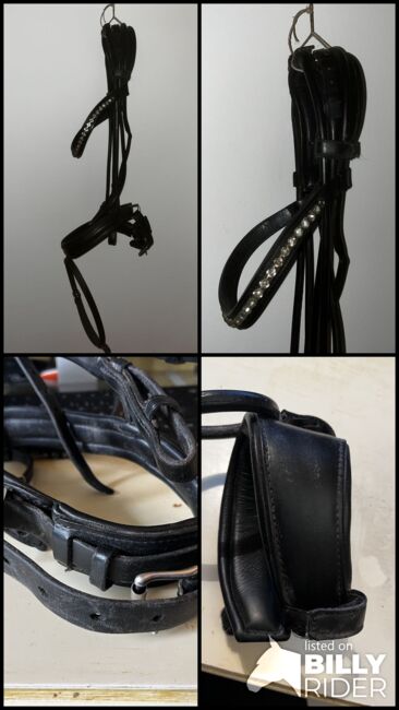 schumachertrense in schwarz rundgenäht, Schumacher rundgenäht mit gepolstertem Genickstück, Cornelia, Bridles & Headstalls, Hamburg, Image 7