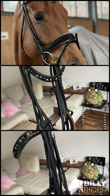 Schumacher Trense, Otto Schumacher , Luca Grothe, Bridles & Headstalls, Velbert , Image 4