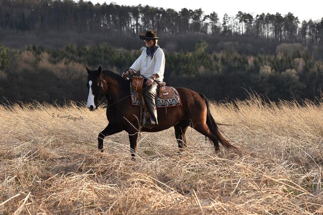 Schwarzbraune, liebevolle Quarter Horse Stute, Kerstin Rehbehn (Pferdemarketing Ost), Pferd kaufen, Nienburg, Abbildung 3