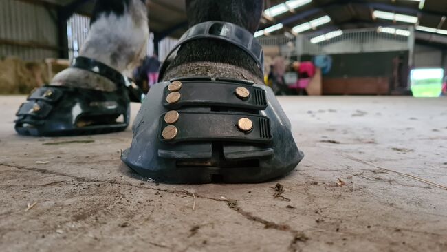 Scoot boots size 5, Scoot, pippa overton, Hoof Boots & Therapy Boots, Hinckley, Image 11