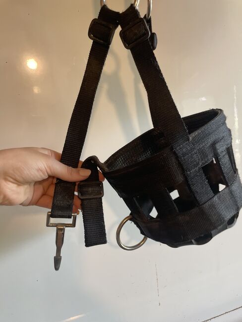 Fressbremse, Lena Stöcker, Halters, Siegen, Image 2