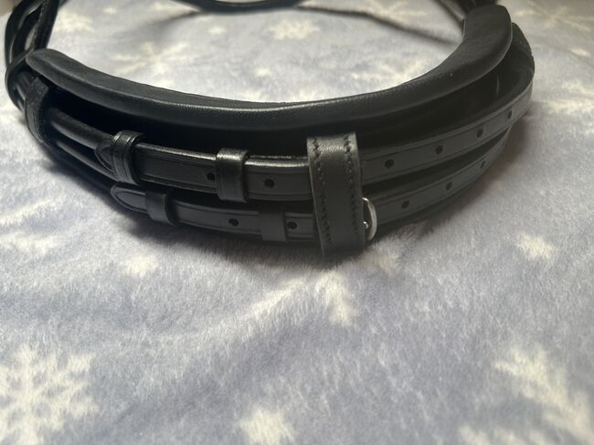 SD-Design Trense mit Ivy Horse Fashion Stirnriemen, SD-Design, Katharina , Bridles & Headstalls, Groß-Enzersdorf, Image 10